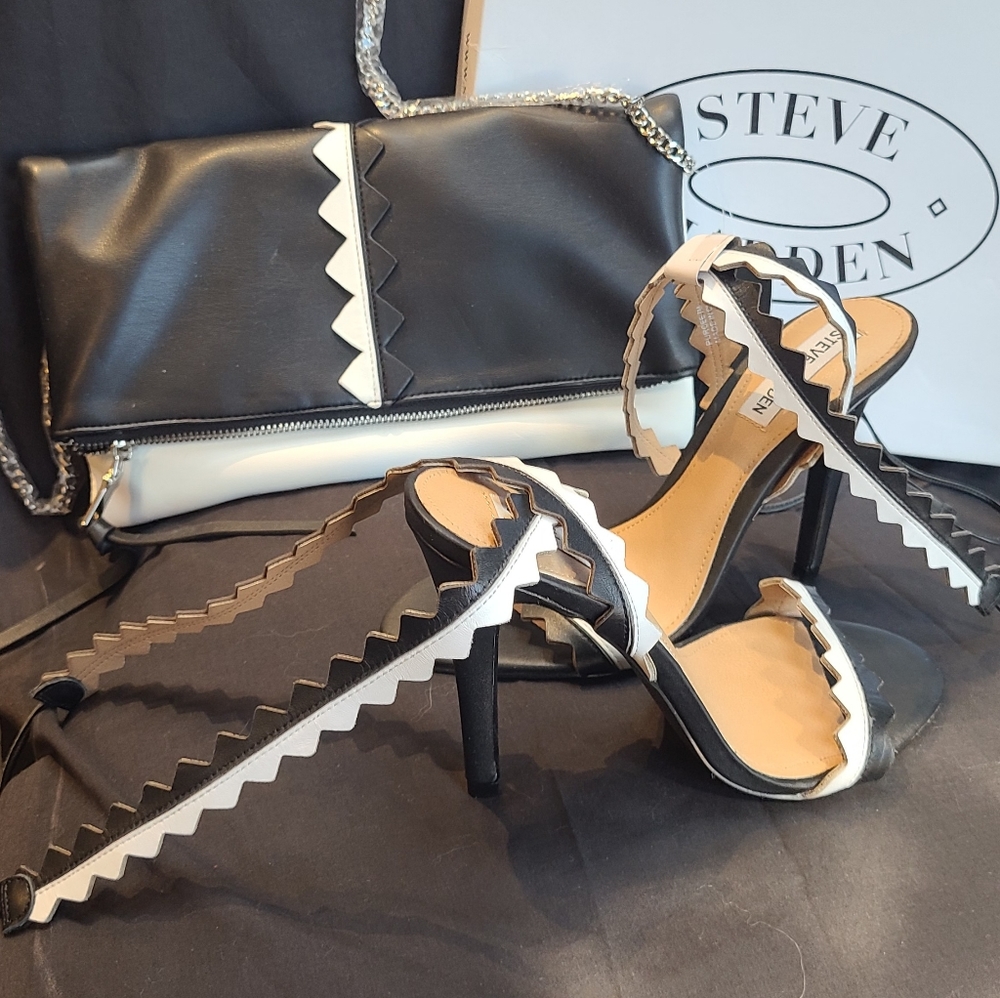 Ladies shoes and matching purse